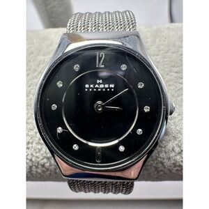 Skagen SKW2156 Ladies Watch 24MM 8.5" New‎ Battery Stainless Mesh Band T14